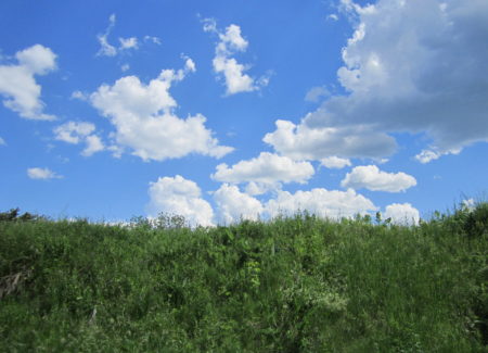 Eusèbe_29_juin_2012_6