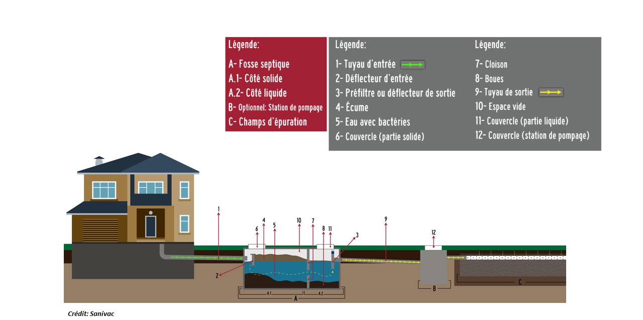 Arcy Vert - Régénérateur fosse septique toutes eaux, puisard et
