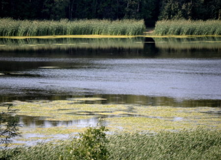 L'exploration de soi, Marais de St-Gédéon