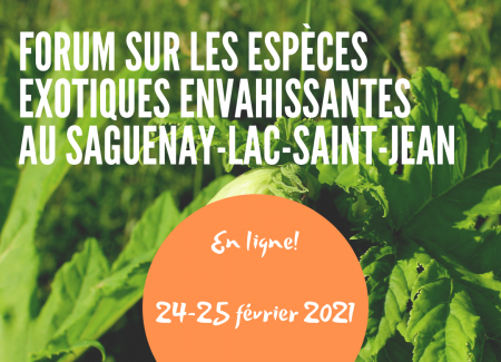 En ligne! 24-25 février 2021