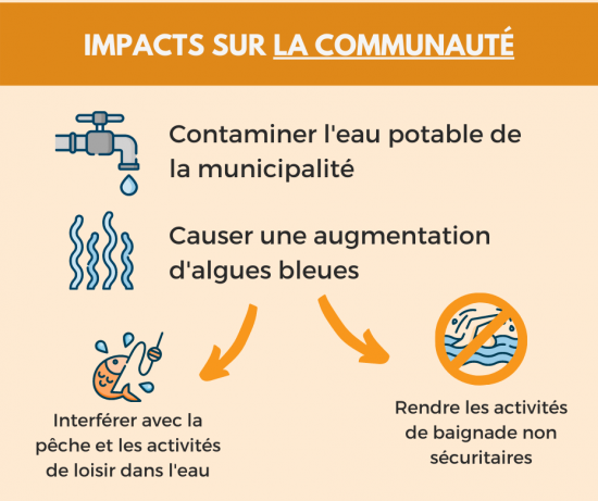 Infographique. "Impacts sur la communauté. Elle peut: contaminer l'eau potable de la municipalité et causer une augmentation d'algues bleues. Cette augmentation peut donc interférer avec la pêche et les activités de loisir dans l'eau et rendre les activités de baignade non sécuritaires"