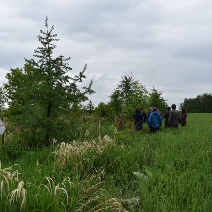 Visite d’une bande riveraine élargie organisée par M. Louis Mailloux.