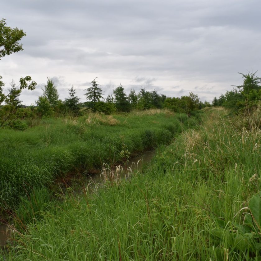 Bande riveraine élargie