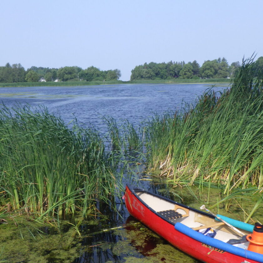 Petit Marais de Saint-Gédéon