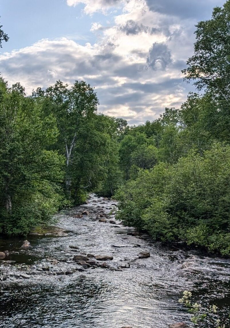 Ruisseau Loup-Cervier